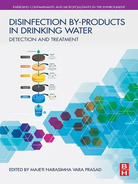 Prasad | Disinfection By-products in Drinking Water | E-Book | sack.de