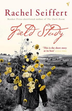Seiffert |  Field Study | Buch |  Sack Fachmedien