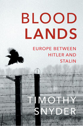 Snyder |  Bloodlands | Buch |  Sack Fachmedien