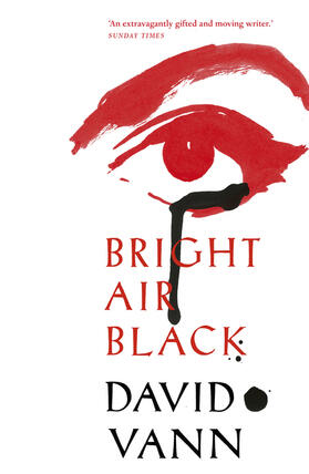 Vann | Bright Air Black | Buch | 978-0-09-959226-6 | www.sack.de
