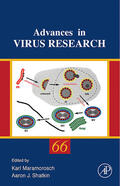 Maramorosch / Shatkin |  Advances in Virus Research | Buch |  Sack Fachmedien