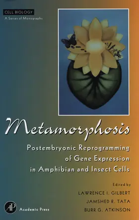  Metamorphosis | Buch |  Sack Fachmedien
