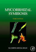 Smith / Read |  Mycorrhizal Symbiosis | Buch |  Sack Fachmedien