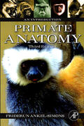 Simmons / Ankel-Simons |  Primate Anatomy | Buch |  Sack Fachmedien