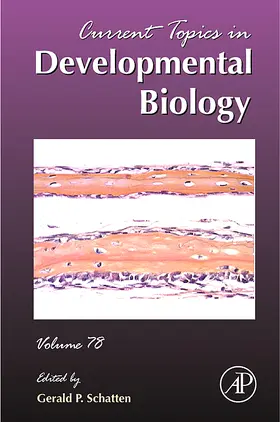  Current Topics in Developmental Biology | Buch |  Sack Fachmedien