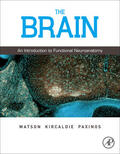 Watson / Paxinos / Kirkcaldie |  The Brain | Buch |  Sack Fachmedien
