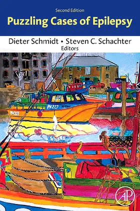 Schmidt / Schachter |  Puzzling Cases of Epilepsy | Buch |  Sack Fachmedien
