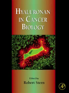 Stern | Hyaluronan in Cancer Biology | Buch | 978-0-12-374178-3 | www.sack.de