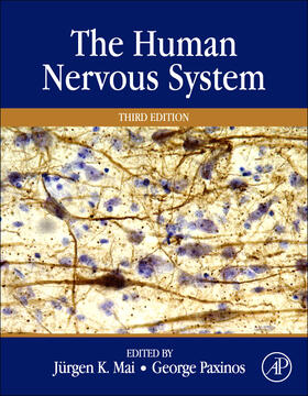 Mai / Paxinos |  The Human Nervous System | Buch |  Sack Fachmedien