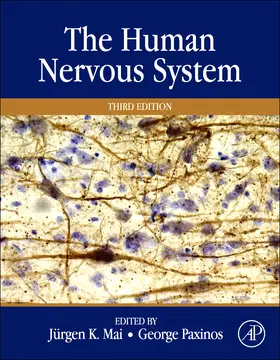 Mai / Paxinos | The Human Nervous System | Buch | 978-0-12-374236-0 | sack.de