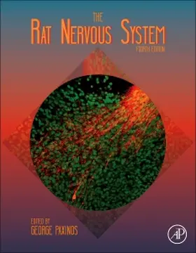 Paxinos | The Rat Nervous System | Buch | 978-0-12-374245-2 | www.sack.de