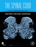 Watson / Paxinos / Kayalioglu |  The Spinal Cord | Buch |  Sack Fachmedien