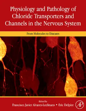 Alvarez-Leefmans / Delpire |  Physiology and Pathology of Chloride Transporters and Channels in the Nervous System | Buch |  Sack Fachmedien