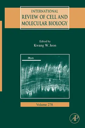 Jeon |  International Review of Cell and Molecular Biology | Buch |  Sack Fachmedien