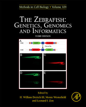  The Zebrafish: Genetics, Genomics and Informatics | Buch |  Sack Fachmedien