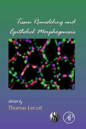 Tissue Remodeling and Epithelial Morphogenesis | Buch | 978-0-12-374902-4 | sack.de