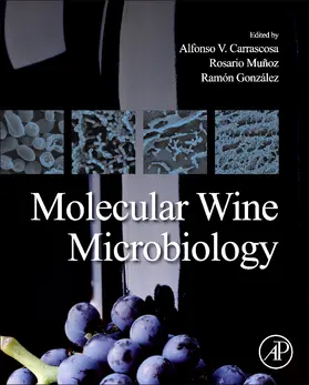 Carrascosa Santiago / Munoz / Gonzalez Garcia |  Molecular Wine Microbiology | Buch |  Sack Fachmedien
