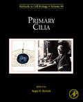  Primary Cilia | Buch |  Sack Fachmedien