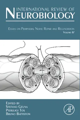 Geuna / Tos / Battiston | Essays on Peripheral Nerve Repair and Regeneration | Buch | 978-0-12-375084-6 | www.sack.de