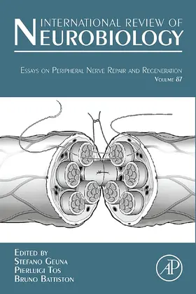 Geuna / Tos / Battiston | Essays on Peripheral Nerve Repair and Regeneration | E-Book | www.sack.de