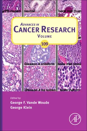Vande Woude / Klein | Advances in Cancer Research | Buch | 978-0-12-380890-5 | sack.de