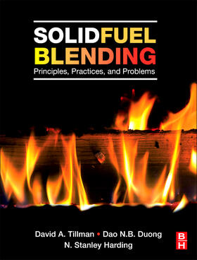 Tillman / Duong / Harding | Solid Fuel Blending: Principles, Practices, and Problems | Buch | 978-0-12-380932-2 | sack.de