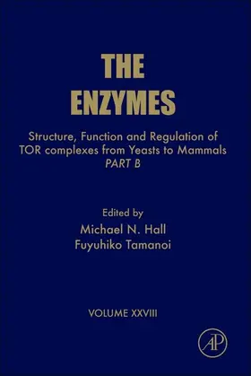 Tamanoi |  Structure, Function and Regulation of TOR complexes from Yeasts to Mammals | eBook | Sack Fachmedien