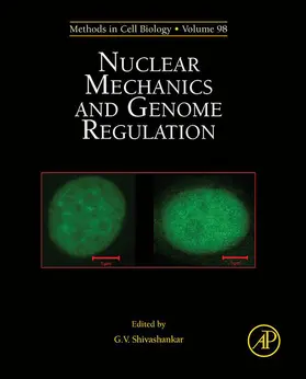 Shivashankar | Nuclear Mechanics and Genome Regulation | E-Book | sack.de