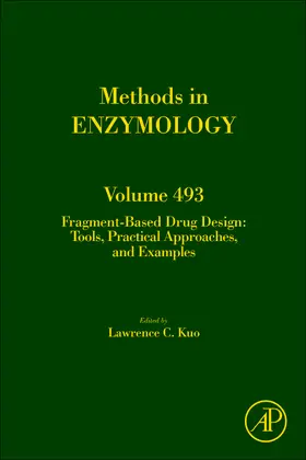  Fragment Based Drug Design | Buch |  Sack Fachmedien