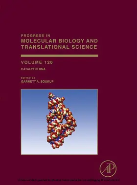  Catalytic RNA | eBook | Sack Fachmedien