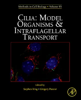  Cilia: Model Organisms and Intraflagellar Transport | Buch |  Sack Fachmedien