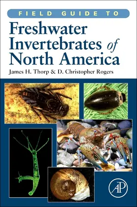 Thorp / Rogers | Field Guide to Freshwater Invertebrates of North America | E-Book | www.sack.de