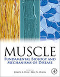Hill / Olson |  Muscle 2-Volume Set | Buch |  Sack Fachmedien