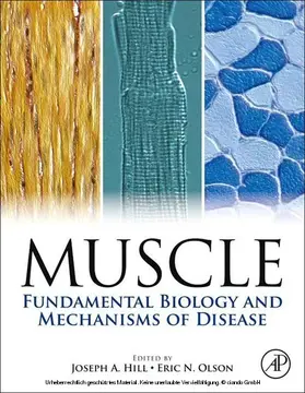 Hill / Olson | Muscle 2-Volume Set | E-Book | www.sack.de