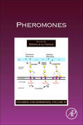 Litwack |  Pheromones | Buch |  Sack Fachmedien