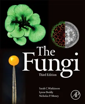 Watkinson / Boddy / Money |  The Fungi | Buch |  Sack Fachmedien