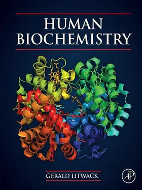 Litwack | Human Biochemistry | E-Book | sack.de