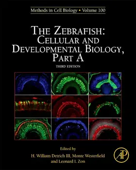  The Zebrafish: Cellular and Developmental Biology, Part A | eBook | Sack Fachmedien