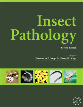 Vega / Kaya | Insect Pathology | Buch | 978-0-12-384984-7 | sack.de