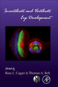 Cagen / Reh |  Invertebrate and Vertebrate Eye Development | Buch |  Sack Fachmedien