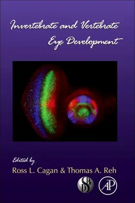 Invertebrate and Vertebrate Eye Development | E-Book | sack.de