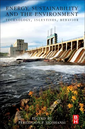 Sioshansi | Energy, Sustainability and the Environment | E-Book | sack.de