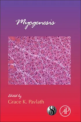 Myogenesis | Buch | 978-0-12-385940-2 | sack.de