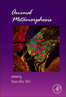 Animal Metamorphosis | Buch | 978-0-12-385979-2 | sack.de