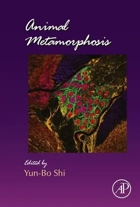 Shi |  Animal Metamorphosis | eBook | Sack Fachmedien