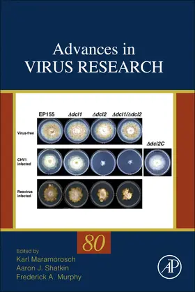 Maramorosch / Shatkin |  Advances in Virus Research | Buch |  Sack Fachmedien