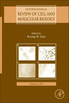 Jeon |  International Review of Cell and Molecular Biology | eBook | Sack Fachmedien