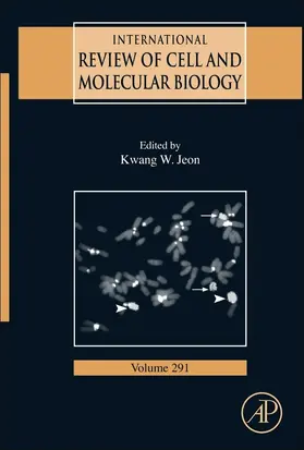 Jeon |  International Review of Cell and Molecular Biology | eBook | Sack Fachmedien