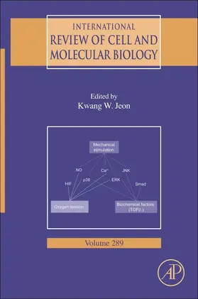Jeon |  International Review of Cell and Molecular Biology | eBook | Sack Fachmedien