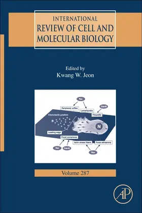 Jeon |  International Review of Cell and Molecular Biology | eBook | Sack Fachmedien